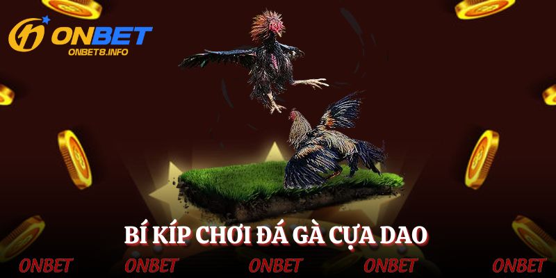 Bí kíp vàng giúp kê thủ chơi đá gà tốt hơn