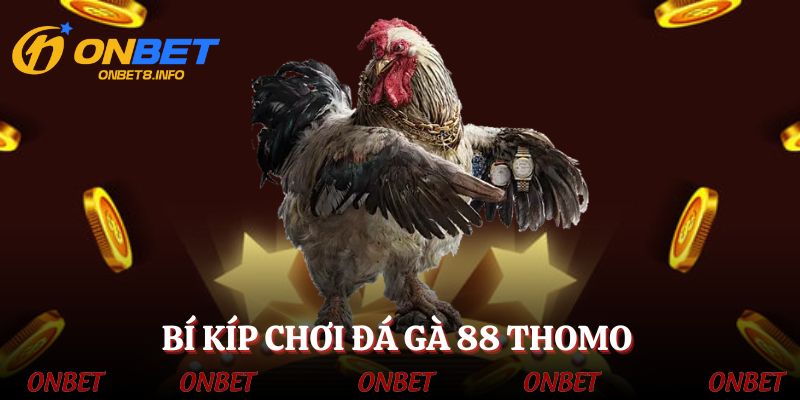 Bí kíp vàng giúp kê thủ kiếm tiền từ đá gà trực tiếp