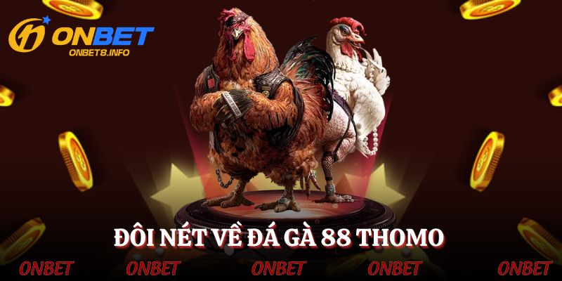 Đá gà 88 Thomo - đấu trường đỉnh cao của chiến binh lông vũ