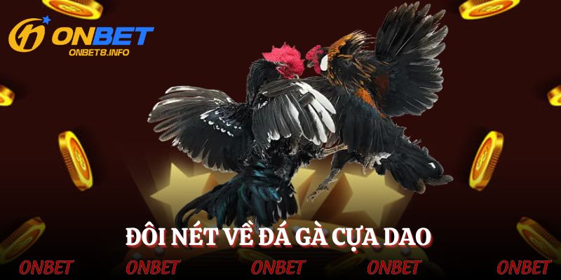 Đá gà cựa dao - Sảnh cược hấp dẫn, kịch tính và thú vị