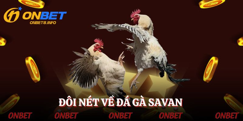 Đá gà Savan - Đấu trường đá gà chất lượng, uy tín và hấp dẫn