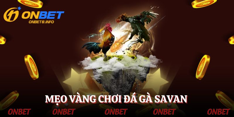 Mẹo vàng giúp kê thủ chơi cá cược đá gà tốt hơn