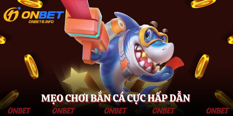 Mẹo vàng giúp ngư thủ săn cá thắng lớn mỗi ngày